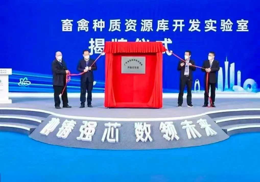 揭幕启动 - 设备租赁详情