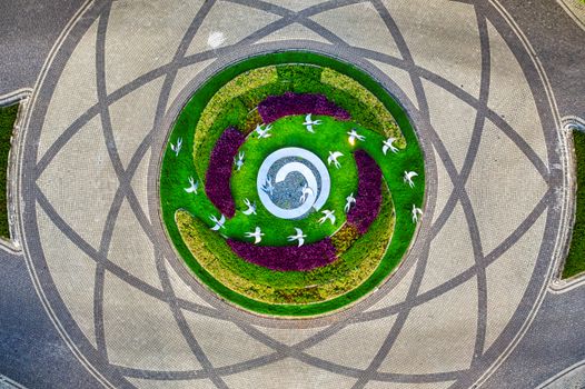 配图