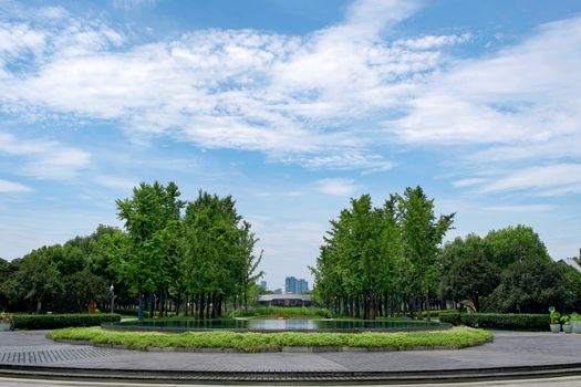配图