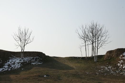 配图