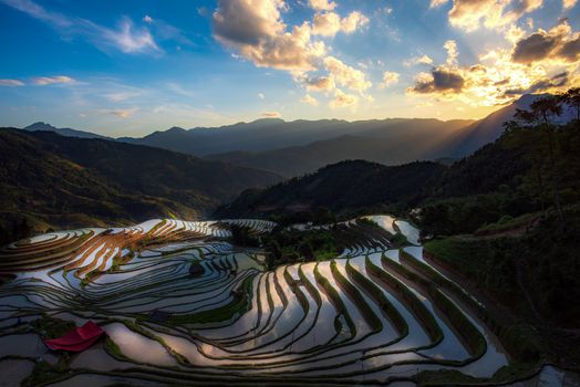 配图