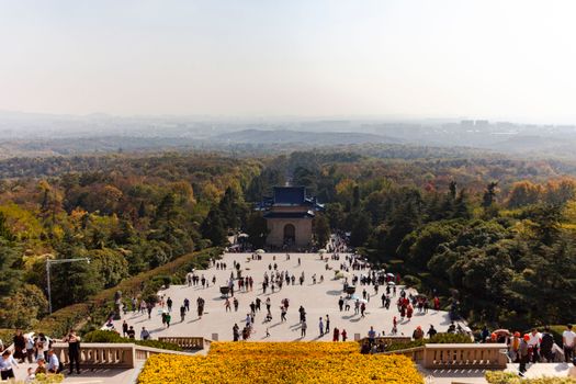 配图